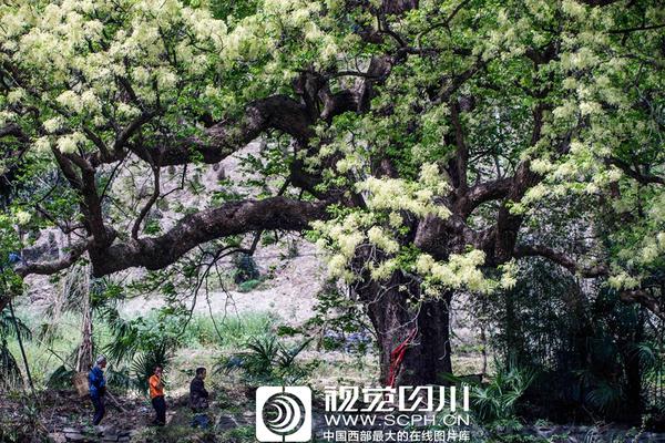 【http://51吃瓜.com/】張學(xué)友演唱的有歌一首歌曲