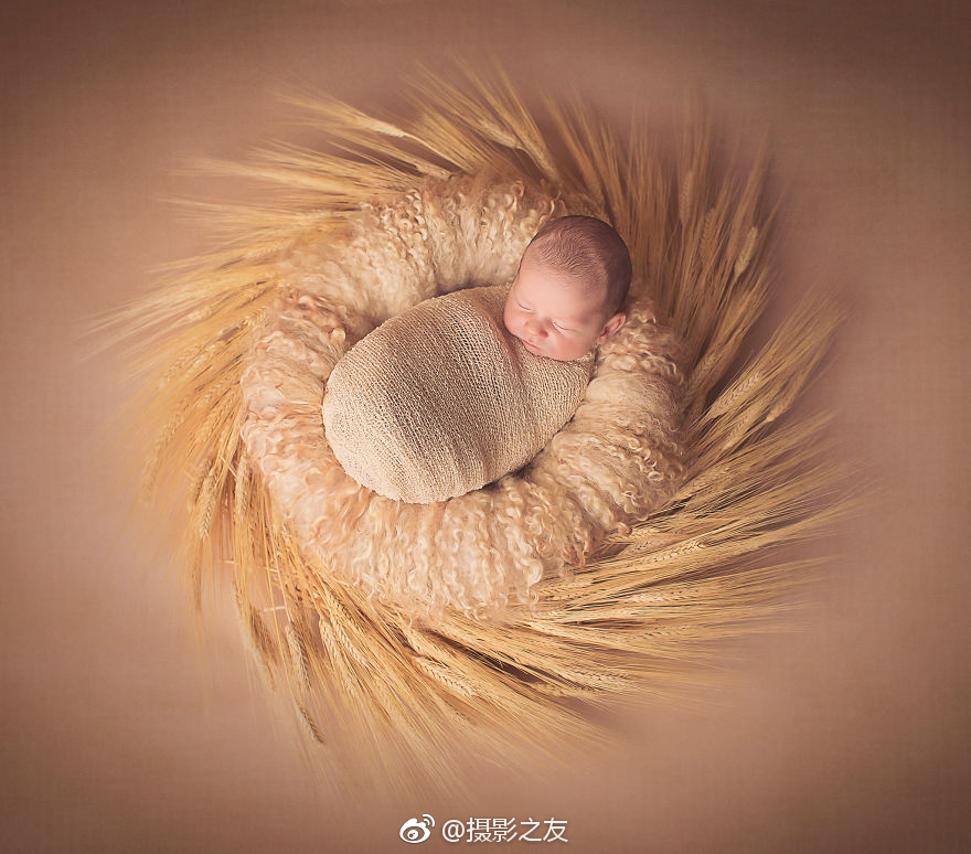 【黑料社】吃沒(méi)寄居蟹是螃蟹同類(lèi)動(dòng)物