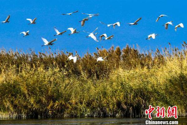 【一桿鋼槍吃瓜】國(guó)泰立異藥付出端繼續(xù)改進(jìn)