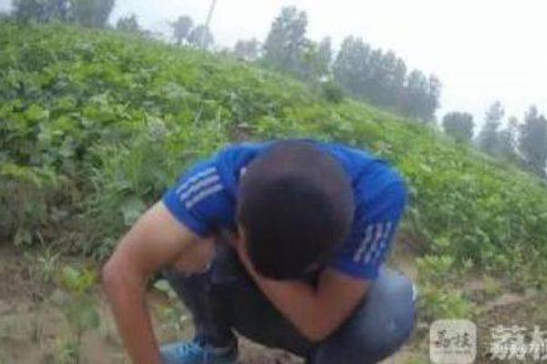 【911 黑料 福利 視頻】完善的銀發(fā)號旅行服務等