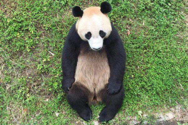 【51吃瓜網(wǎng)最新消息今天】50歲以上：人體機能闌珊