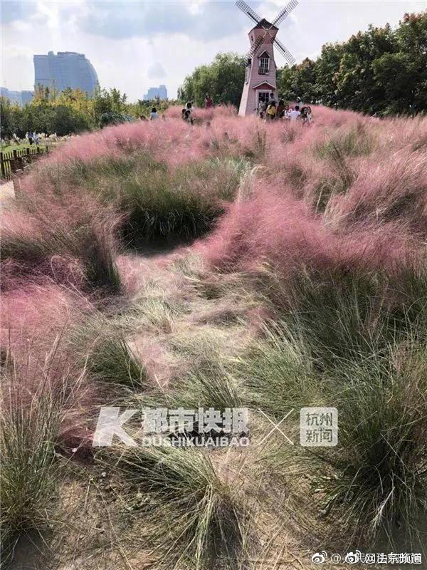 【www.51cg.fun吃瓜網(wǎng)】試點(diǎn)參加主體包含10家公司
