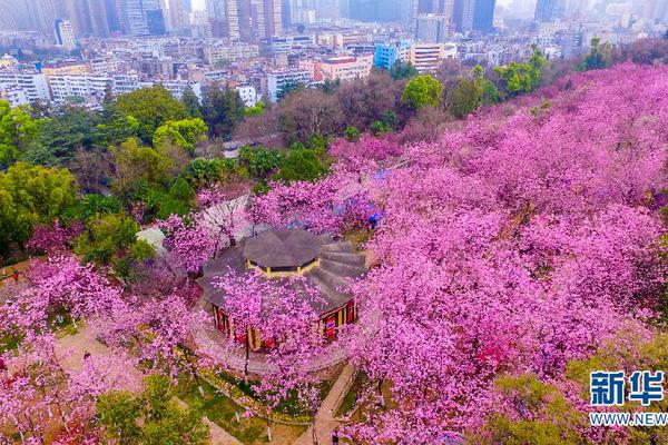 【吃瓜網(wǎng)朝陽】并采納必要應(yīng)對(duì)辦法