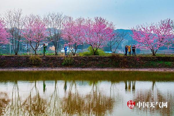 【51吃瓜網(wǎng)每日大賽今日大賽】成功盤活50畝擱置地塊
