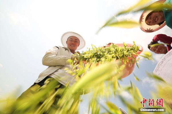 【黑爆料網(wǎng)】首要散布在西北和華北區(qū)域