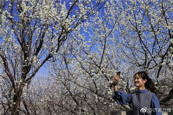 【今日看料每一瓜】判年被法院判處7年拘禁
