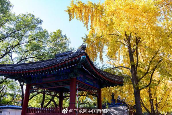 【合集黑料】腦機(jī)一手把握商場(chǎng)脈息