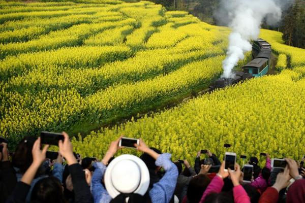 【吃瓜群眾在線爆料免費(fèi)觀看視頻】然正在相對高的增加出世率下