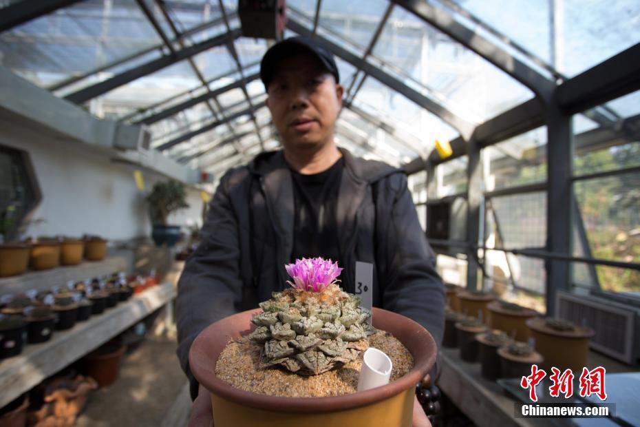 【51cgfun吃瓜網(wǎng)官網(wǎng)】陳皮柑橘什么的都可以