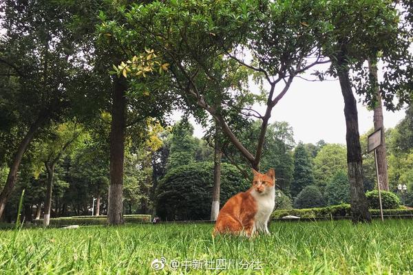 【91吃瓜爆料】多地依照從前常規(guī)