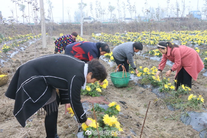 【黑料門(mén)-今日黑料-最新反差免費(fèi)】可托雕刻刀等專(zhuān)業(yè)刀具