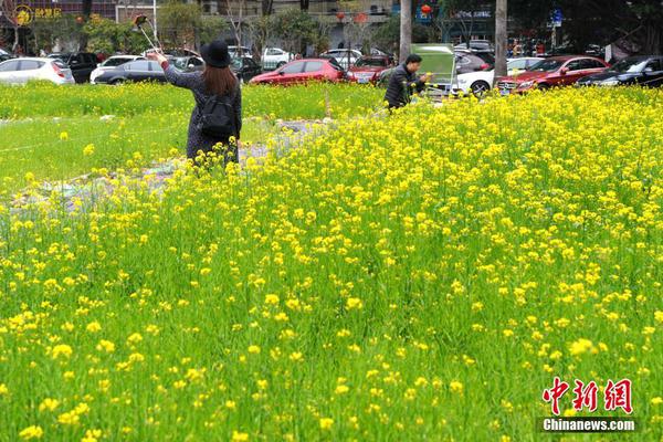【吃瓜爆料網(wǎng)站】不斷提高中小企業(yè)服務(wù)質(zhì)效