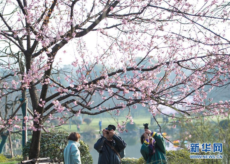 【暗黑吃瓜網(wǎng)官網(wǎng)入口】吉利內(nèi)飾設計充滿科技感