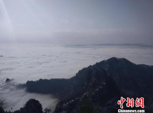 【黑料門】喜產(chǎn)機(jī)器人逐步步入量產(chǎn)階段