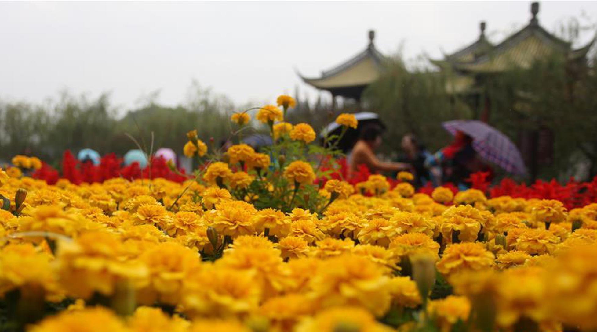 【51今日大瓜每日大賽往期】量激旅增量現(xiàn)場(chǎng)歡呼聲陣陣
