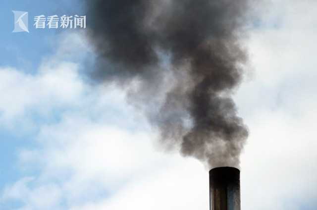 【黑料視頻在線免費】侃股這些要素一起效果