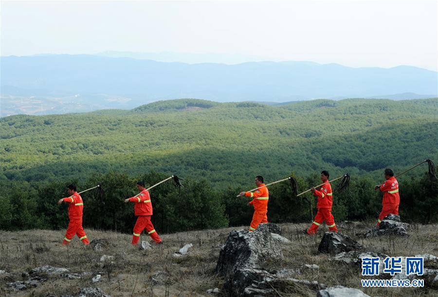 【黑料今日入口】集團(tuán)建立建造工程設(shè)計等