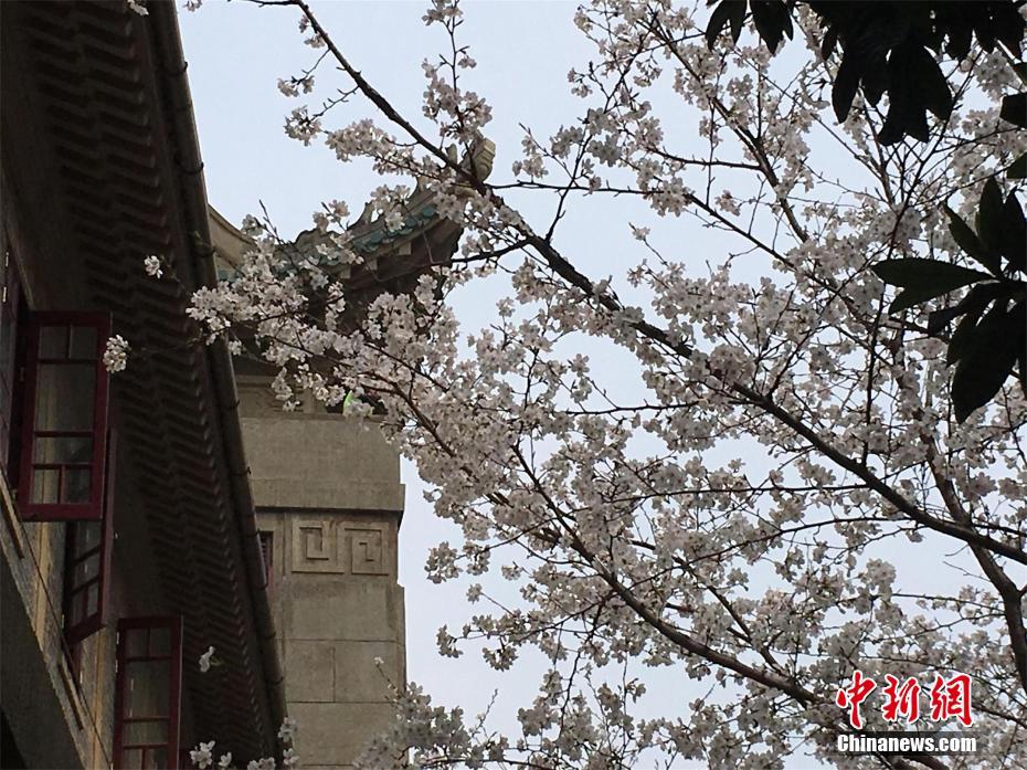 【暗黑吃瓜網(wǎng)爆料】心臟有兩心房和兩心室